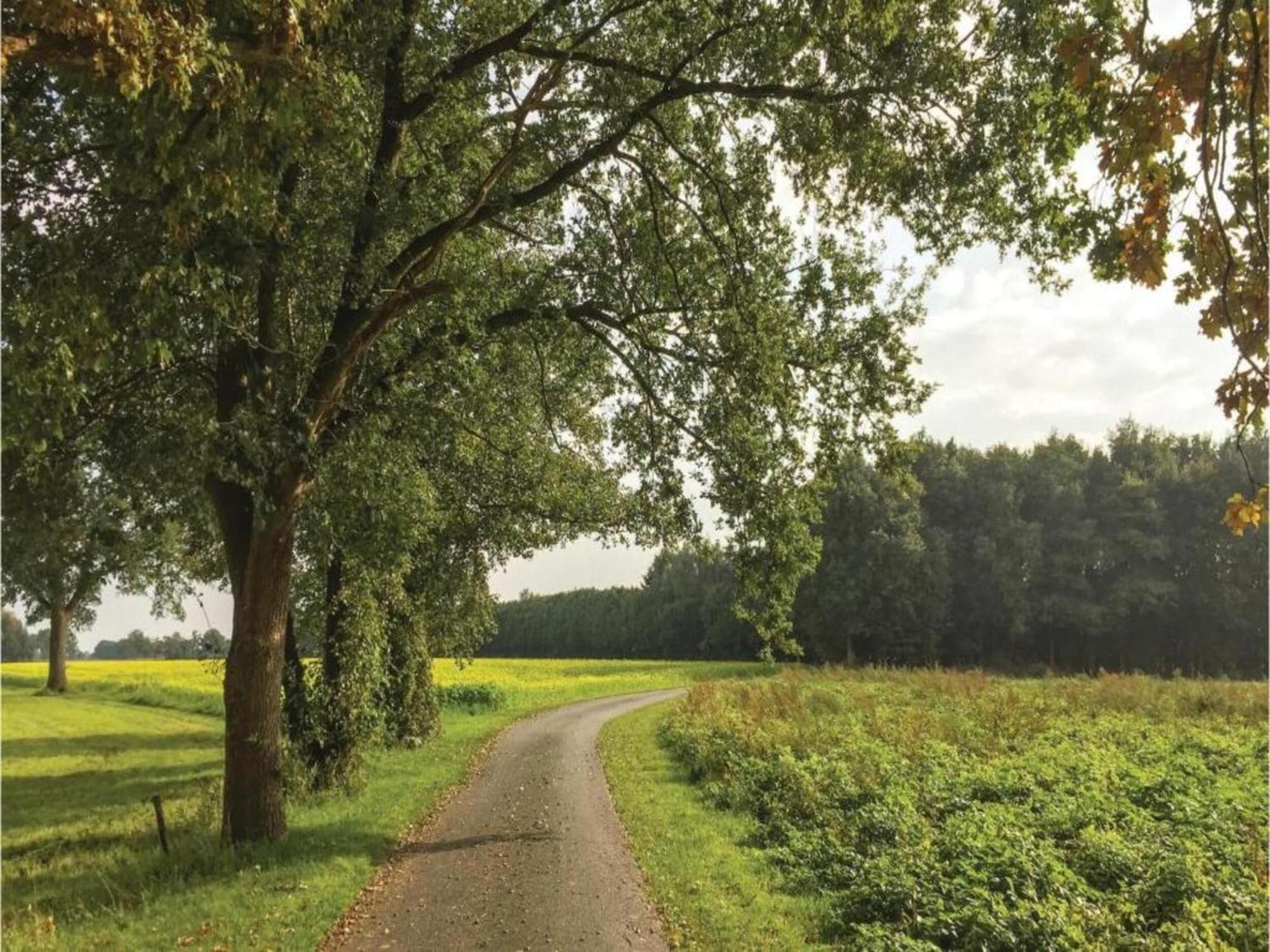 Monumental Farm In The Ash Landscape Villa Geesteren  ภายนอก รูปภาพ