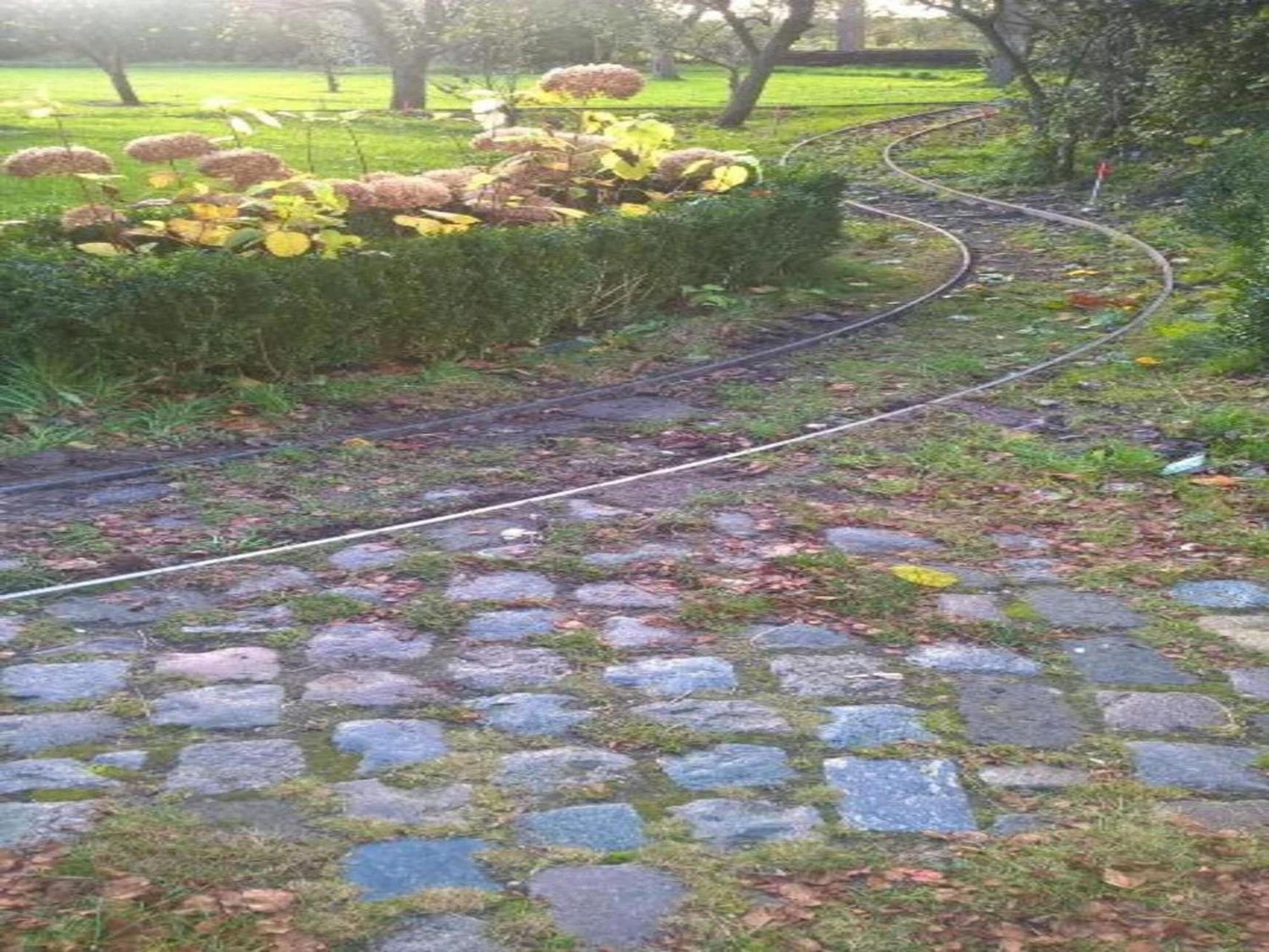 Monumental Farm In The Ash Landscape Villa Geesteren  ภายนอก รูปภาพ